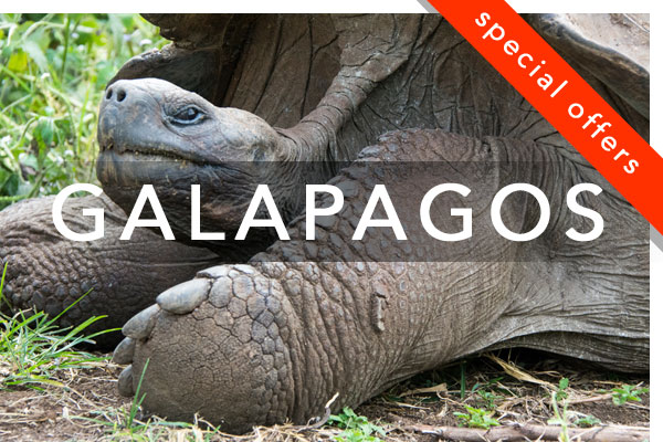 Galapagos Small Ship Cruise Special Offers